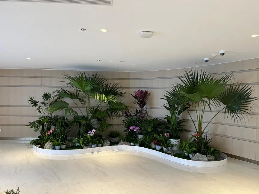 寻宁波前湾盆景租赁？给你意想不到的惊喜